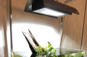 Should You Still Buy Metal Halide Lamp for Your Aquarium in 2021?